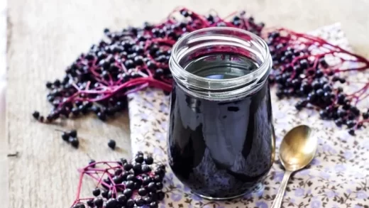 according-to-a-study,-drinking-elderberry-juice-by-obese-persons-causes-them-to-burn-more-carbohydrates