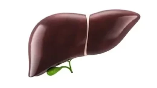 study-indicates-a-connection-between-sociodemographic-characteristics-and-the-recovery-of-liver-transplant-recipients