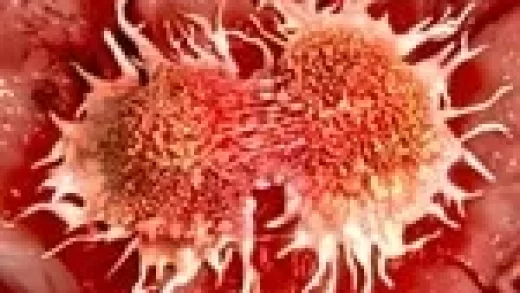 researchers-determine-the-most-likely-cause-of-heart-damage-brought-on-by-cancer-medicines